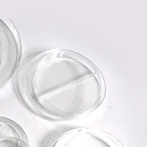 cplabsafety-120260711185450857774