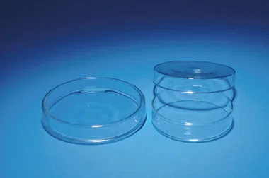 cplabsafety-120260711231819882103