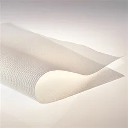 cplabsafety-120260712144356974673