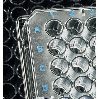 cplabsafety-120260712152612978979