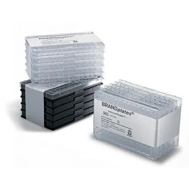cplabsafety-1202607122127501016277