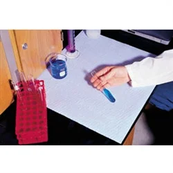 cplabsafety-1202607130044091037583