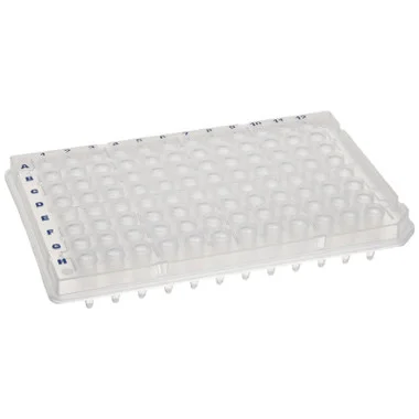 cplabsafety-1202607130129591042153