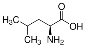 cplabsafety-1202607130458491057946