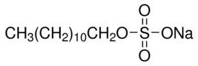 cplabsafety-1202607130526361059500