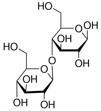 cplabsafety-1202607130839481071103