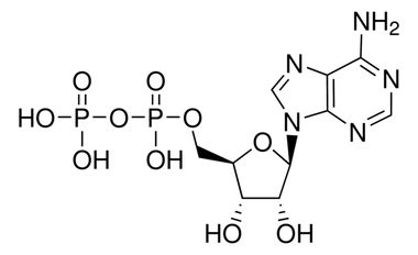 cplabsafety-1202607130840561071191
