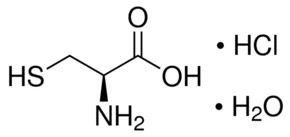 cplabsafety-1202607130903101072853