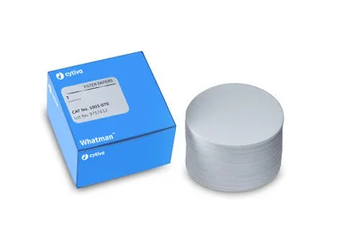 cplabsafety-1202607132348151152207