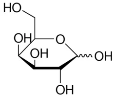 cplabsafety-1202607140217401161557
