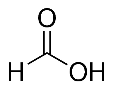 cplabsafety-1202607140320361167420