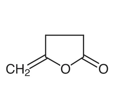 cplabsafety-2202607122101451013413