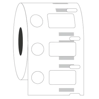 cplabsafety-2202607131711571111306