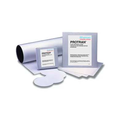cplabsafety-2202607132232091144834
