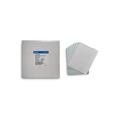 cplabsafety-2202607140345051169713