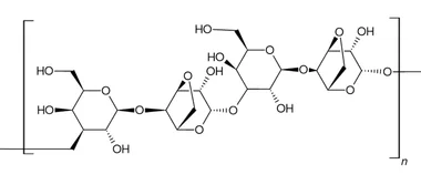 cplabsafety-2202607140345131169727