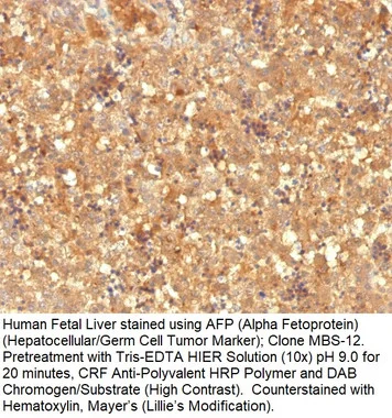 cplabsafety-2202607140350501170263