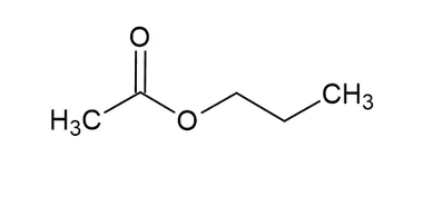 cplabsafety-2202607140359571170944
