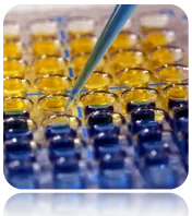 cplabsafety-2202607140529571177654