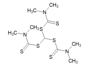 cplabsafety-2202607140716061186429