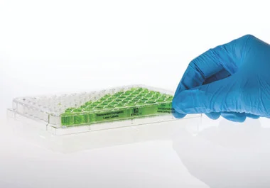 cplabsafety-2202607140813031191817