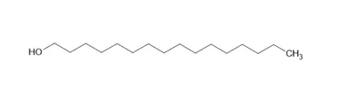 cplabsafety-2202607140938481198775