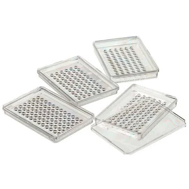 cplabsafety-2202607141400201219852