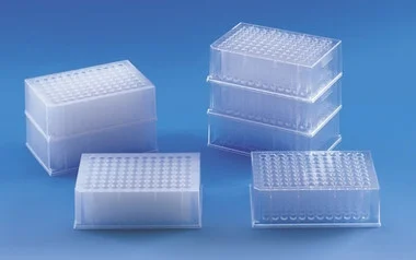 cplabsafety-2202607141418491221724