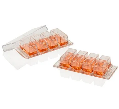 cplabsafety-2202607141421001221923