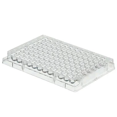 cplabsafety-2202607141507051226316