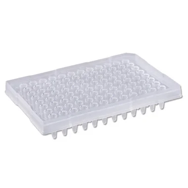 cplabsafety-2202607141510091226665