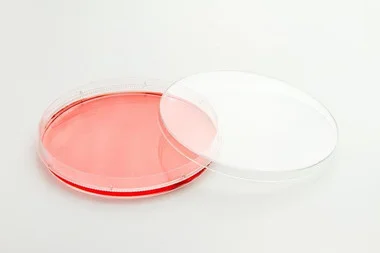 cplabsafety-2202607141515461227262