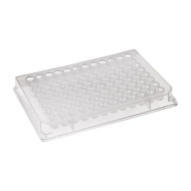 cplabsafety-2202607141526261228275