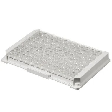 cplabsafety-2202607141708141237425