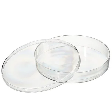 cplabsafety-2202607141728291239425