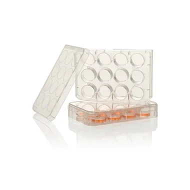 cplabsafety-2202607141911591252362