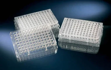 cplabsafety-2202607142053001262276