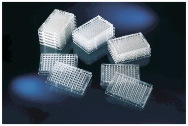 cplabsafety-2202607142054131262389