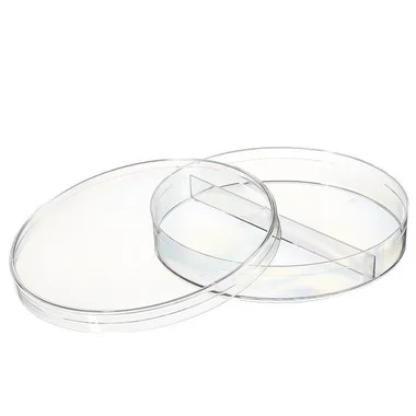 cplabsafety-2202607142151501268457