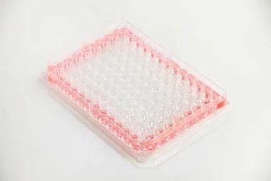 cplabsafety-2202607142252251277311