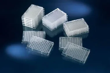 cplabsafety-2202607142350301286371
