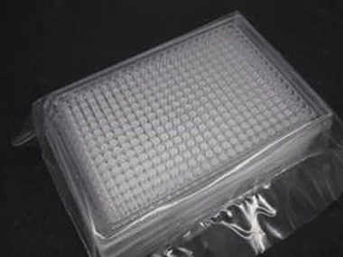 cplabsafety-2202607150105561295976