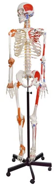 cplabsafety-2202607150142081301670