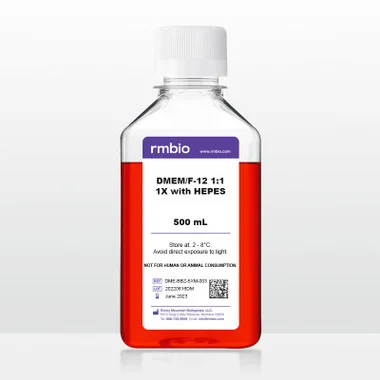 cplabsafety-2202607150145481302428