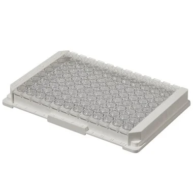 cplabsafety-2202607150329271322963