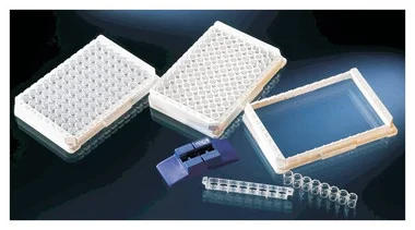 cplabsafety-2202607150405321329397