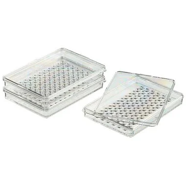 cplabsafety-2202607150429461333602