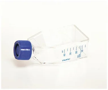 cplabsafety-2202607150601191349397