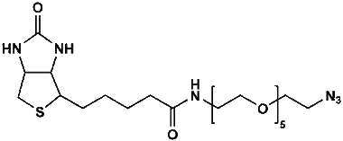 cplabsafety-320260712094556942090