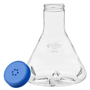 cplabsafety-320260712095700943338